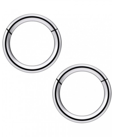 2Pcs PA Ring Hinged Segment Hoop Septum Clicker G23 Titanium 2G 4G 6G 8G 12G 14G 16G Pierced Body Jewelry for Women 8mm 10mm ...