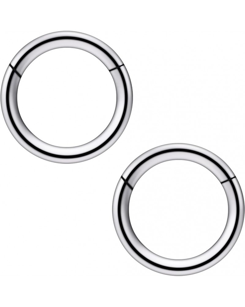 2Pcs PA Ring Hinged Segment Hoop Septum Clicker G23 Titanium 2G 4G 6G 8G 12G 14G 16G Pierced Body Jewelry for Women 8mm 10mm ...