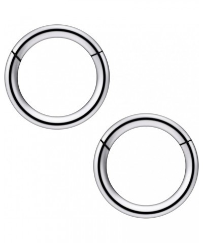 2Pcs PA Ring Hinged Segment Hoop Septum Clicker G23 Titanium 2G 4G 6G 8G 12G 14G 16G Pierced Body Jewelry for Women 8mm 10mm ...