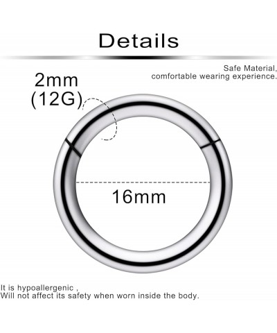 2Pcs PA Ring Hinged Segment Hoop Septum Clicker G23 Titanium 2G 4G 6G 8G 12G 14G 16G Pierced Body Jewelry for Women 8mm 10mm ...