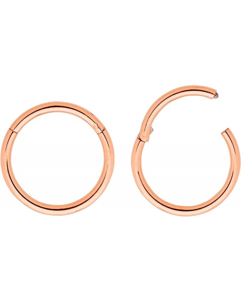 2PCS 18G 6mm - 13mm Surgical Steel 18G Hinged Hoop Segment Septum Cartilage Helix Tragus Nose Ring Unisex Sleeper Earrings 8m...