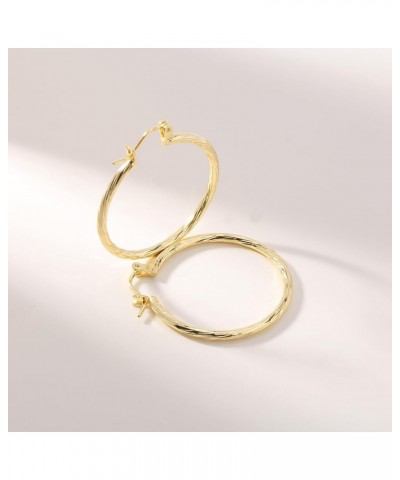 14K Gold Plated Hoop Earrings for Women Girls 925 Sterling Silver Post ( Large Small Twisted Chunky Thick CZ Hoop Square ) Ho...