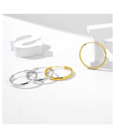 Sterling Silver Hoop Earrings, Hypoallergenic Polished Endless Circle Hoops 18K Gold Jewelry Gifts for Women Girls 20mm/30mm/...