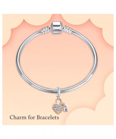 S925 Silver Charm for Bracelet Necklace Sterling Silver Dangles Heart Padlock for Women $9.34 Bracelets