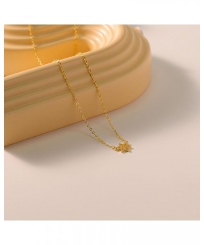 Gold Necklace for Women, 14k Gold Dainty Star of David Flower Sun Evil Eye Infinity Design Simple Pendent Necklace for Girls ...