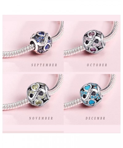 Birthstone Charms 925 Sterling Silver Charms for Bracelets or Necklace with 5A Cubic Zirconia Birthday Charms Girl Mother's D...