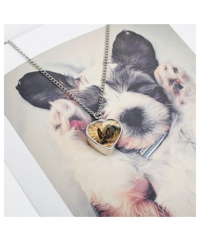 Custom Pet Urn Necklace, Alloy Memorial Pendant Necklace, Dog Pendant Necklace Multi 8 $10.80 Necklaces