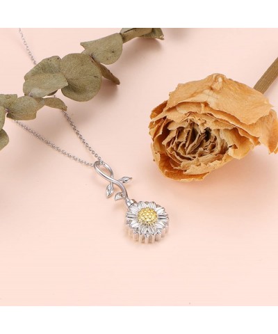 Cremation Jewelry, 925 Sterling Silver Urn Necklace for Ashes Sunflower, Rose, Lily, Hummingbird & Sunflower, Rose & Ladybug,...