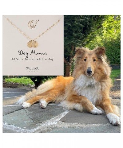 Personalized Dog Paw Necklace for Women, 14k Gold Filled Initial Jewelry for Dog Lovers X $17.98 Necklaces