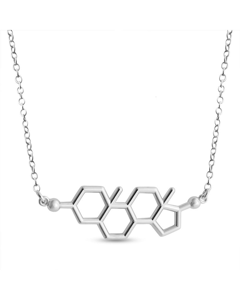 925 Sterling Silver Necklace Testosterone Molecule Male Sex Hormone Chemical Structure Charm Pendant Jump Ring Necklace .This...